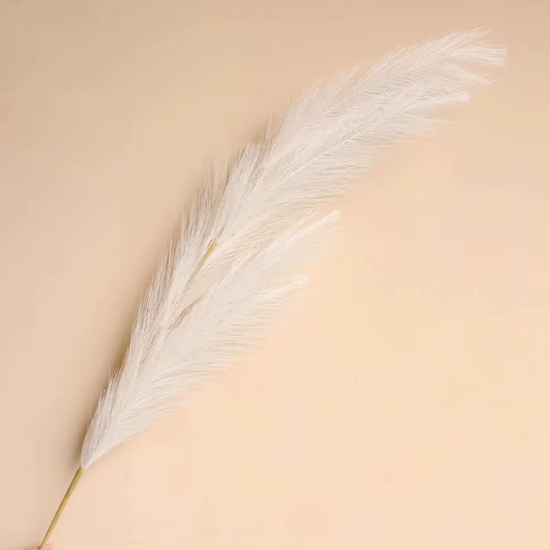 Grande pampa pelucheuse pour la décoration de la maison et de la chambre