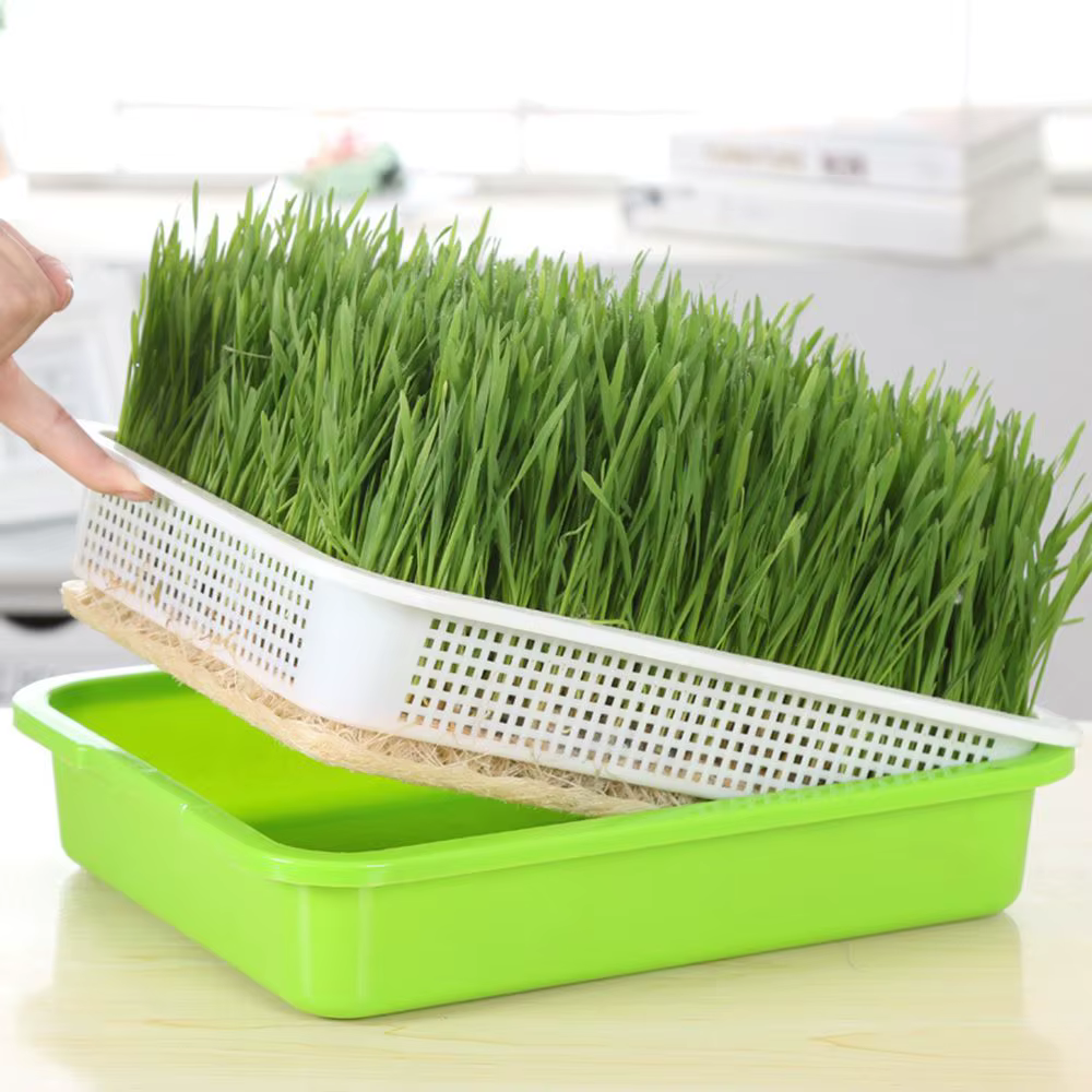 Fournitures de jardinage
