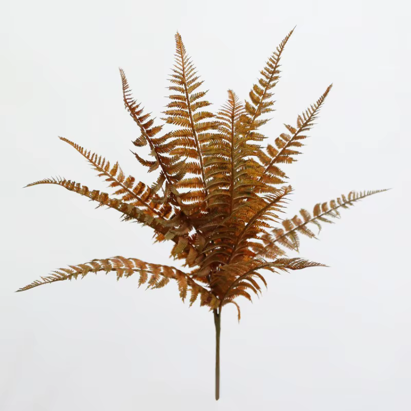 Bouquet de plantes artificielles en plastique Radix Asparagi