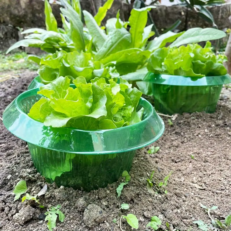 Plantes limace Protection anneaux légumes couverture plante escargot collier garde vert planteur Pot de fleur lutte antiparasitaire trappeur outil de jardin