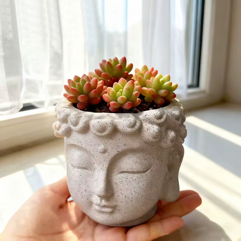 Pot de fleurs en forme de visage de Bouddha