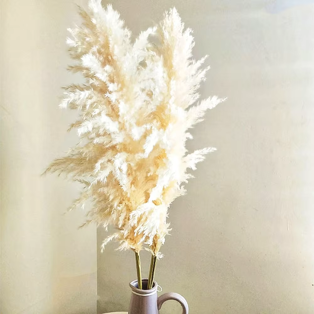 Décoration d'herbe de Pampa Boho 60cm