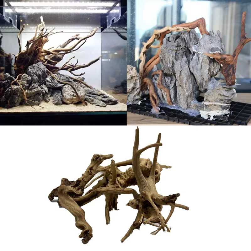 Tronc d'arbre naturel en bois flotté