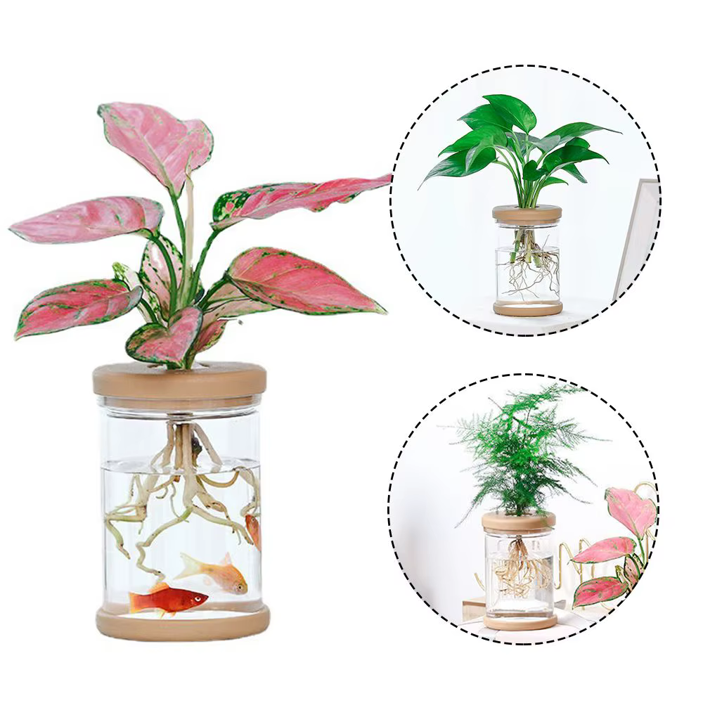 Vase hydroponique en plastique transparent pour la décoration de la maison