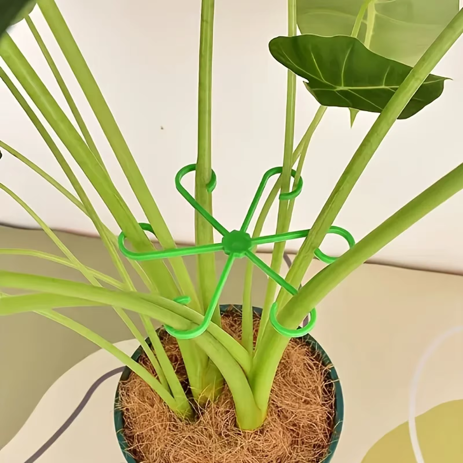 Lot de 4 supports anti-chute pour plantes