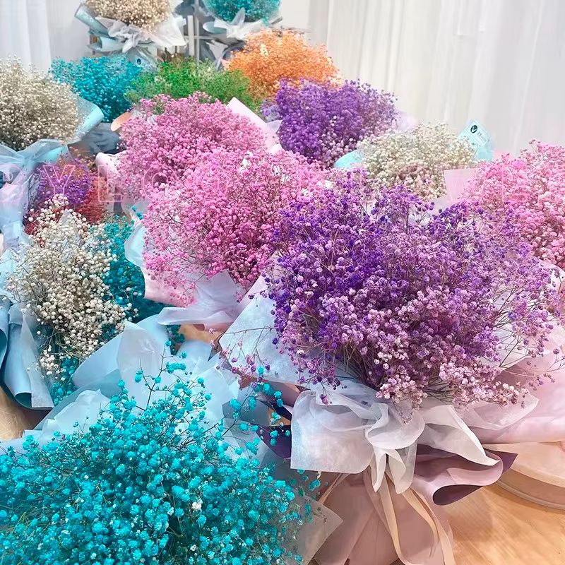 100g fleurs séchées souffle de bébé