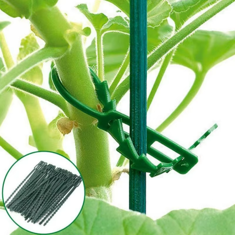 50 attaches de câbles réglables en plastique réutilisables pour plantes