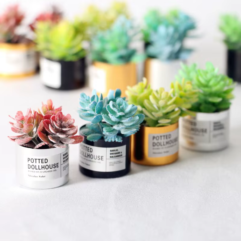 Plante verte l'inventaire en pot