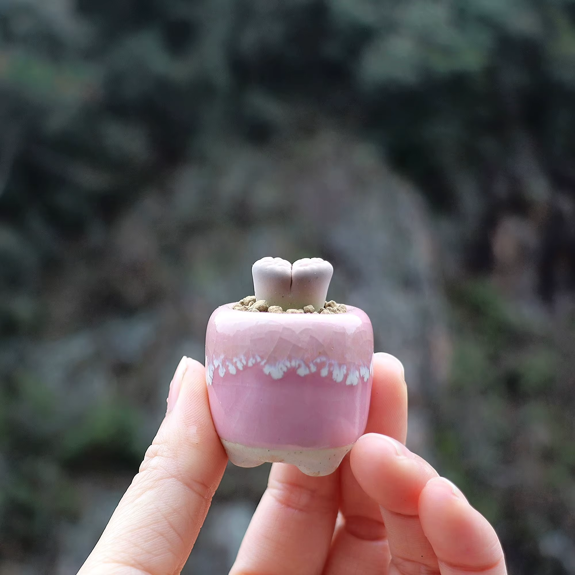 Mini pot de fleurs en céramique vethops