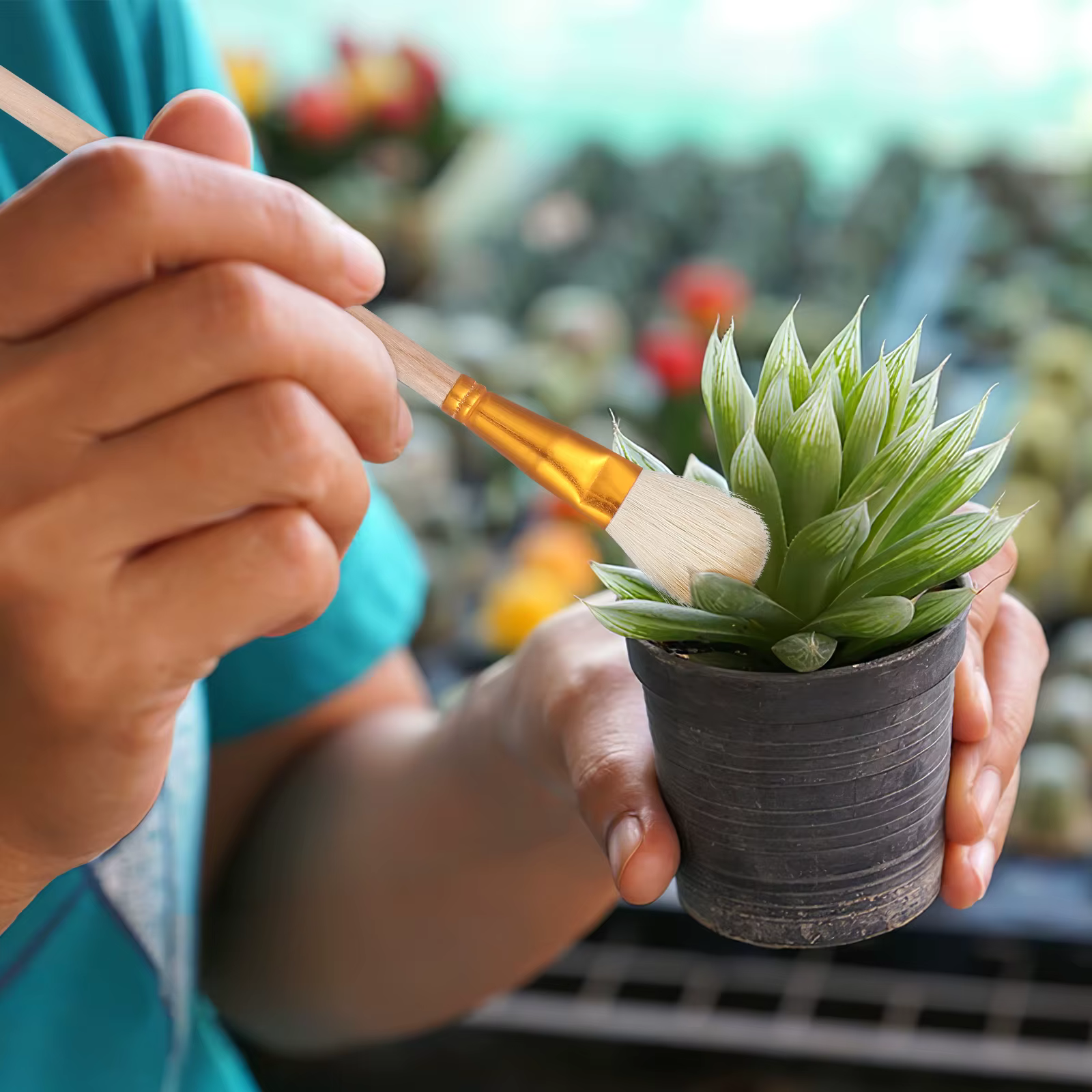 Brosse de polinisation pour plantes succulentes