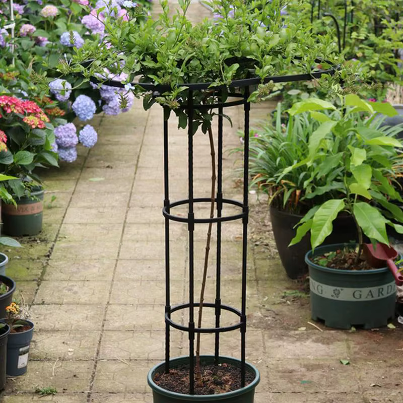 Treillis de jardin vertical en métal