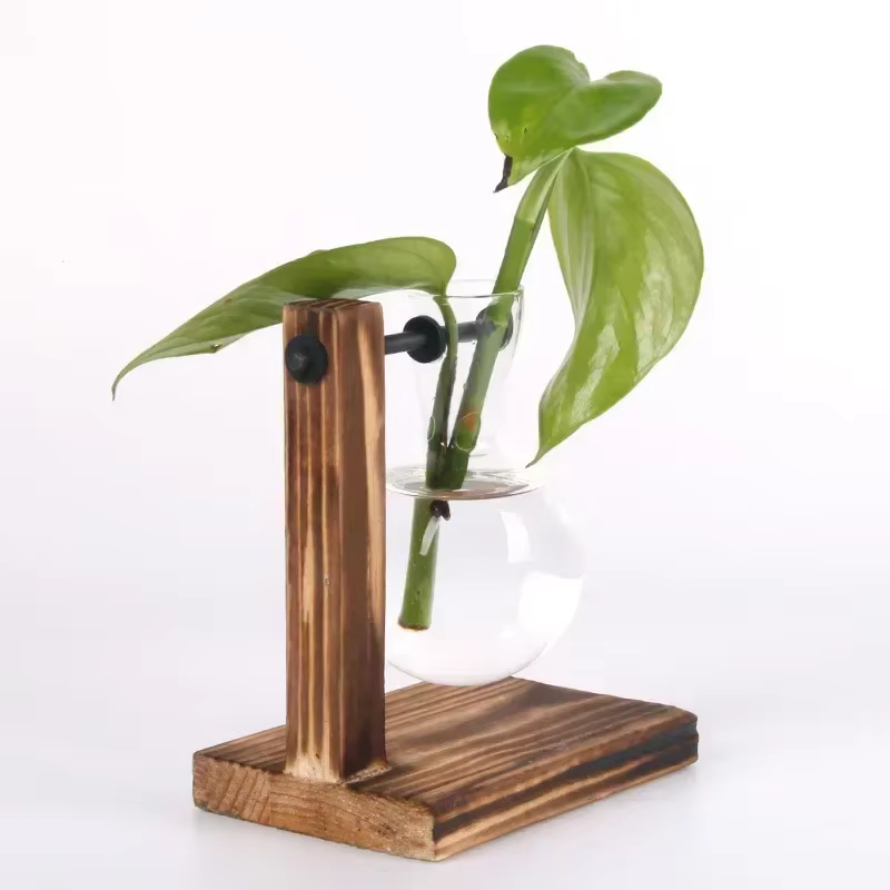 Plante hydroponique Terrarium Vasevase décoration maison bouteille en verre