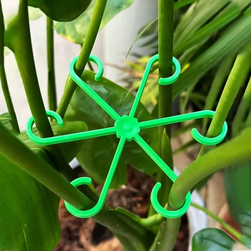 Piquets de Support de tige de plante de fleur