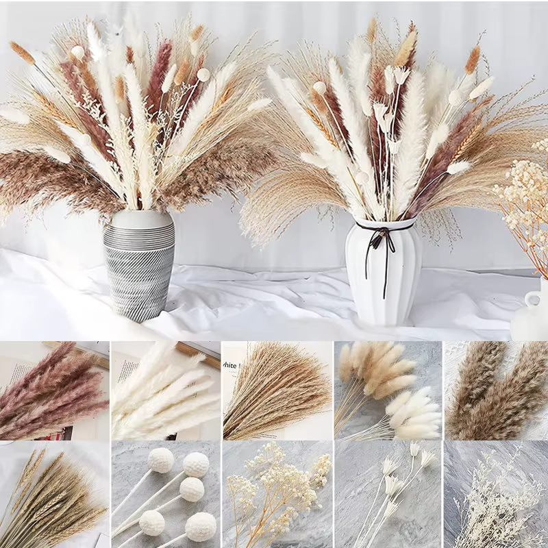Fleurs séchées naturelles Pampas Gypsophila queue de lapin Bouquet maison salon décor fleur artificielle Pampa décorations de fête de mariage