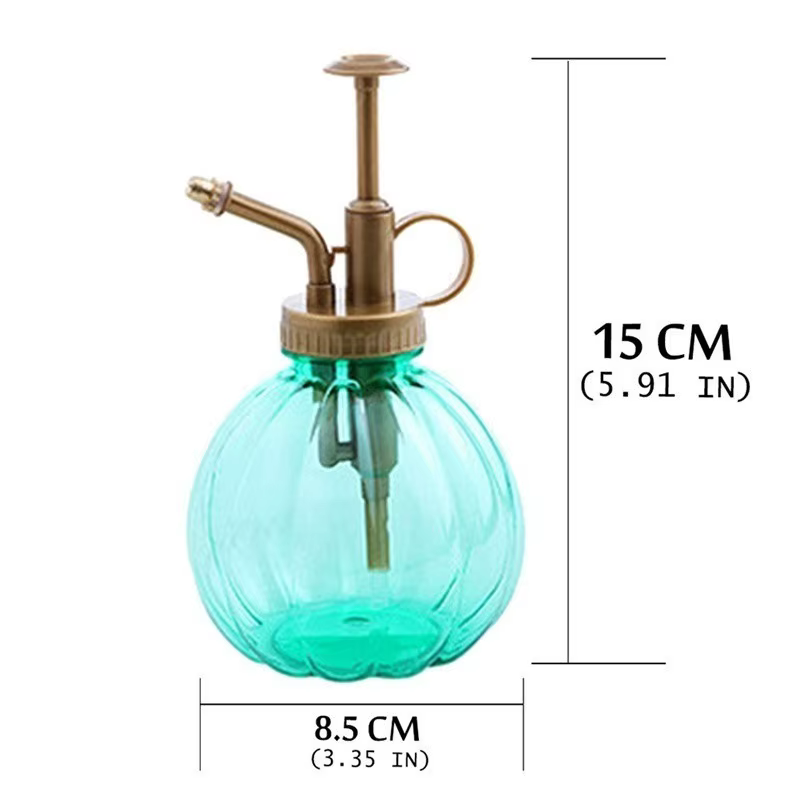 Arrosoir de jardin en verre pour plantes et fleurs