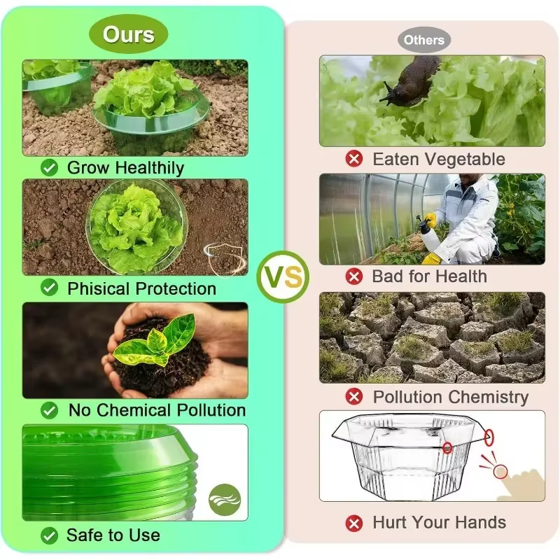 Anneaux de Protection des limaces pour plantes