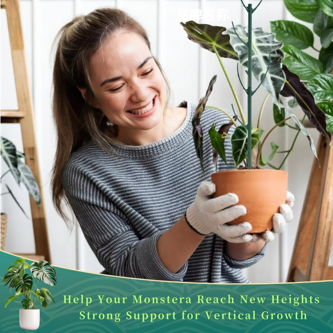 Supports de plantes empilables pour Monstera