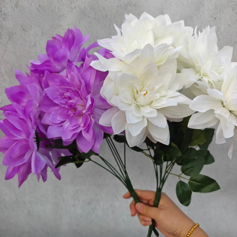 Simulation de fleur Dahlia à 7 têtes de grand diamètre