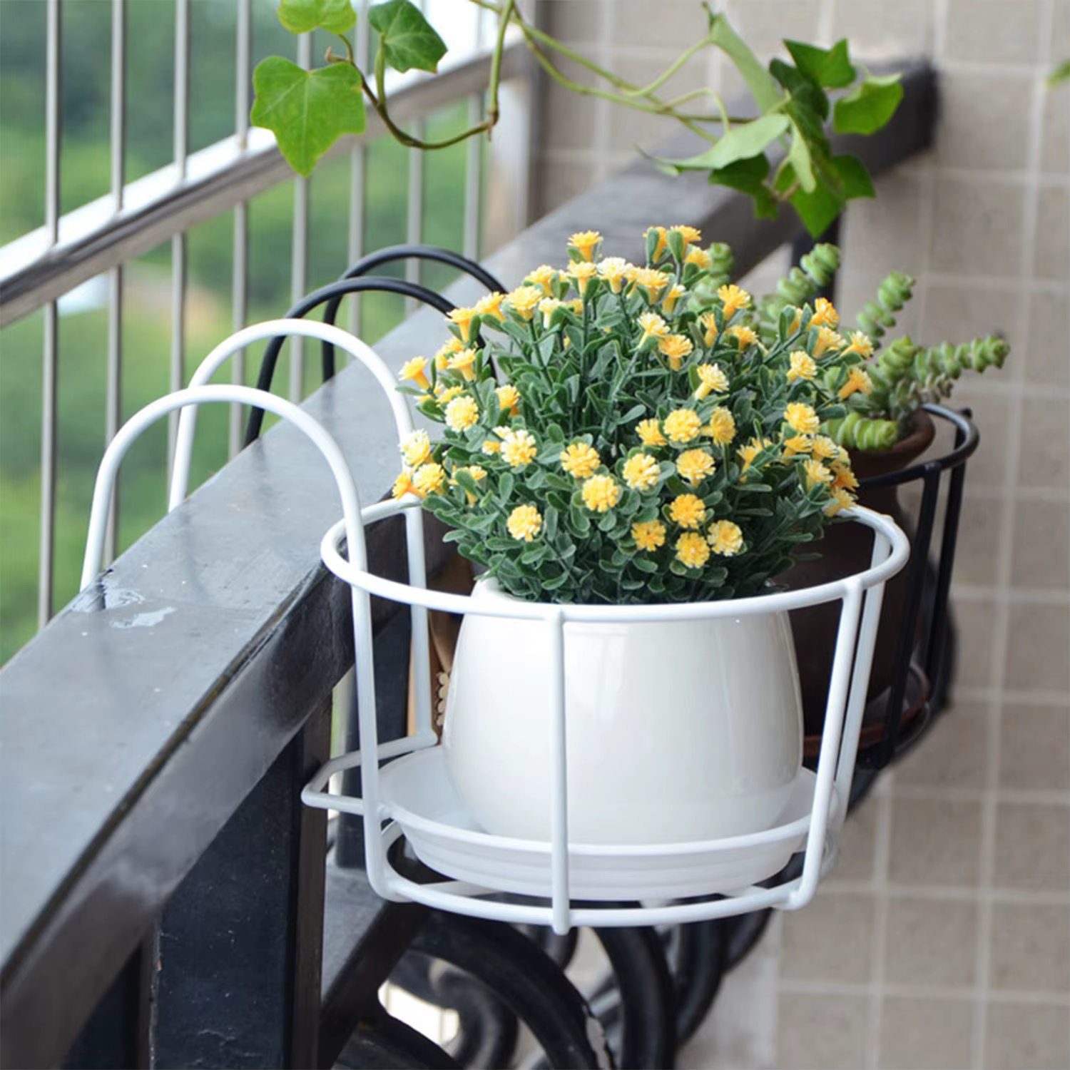 Mur en pot de plantes vertes charnues
