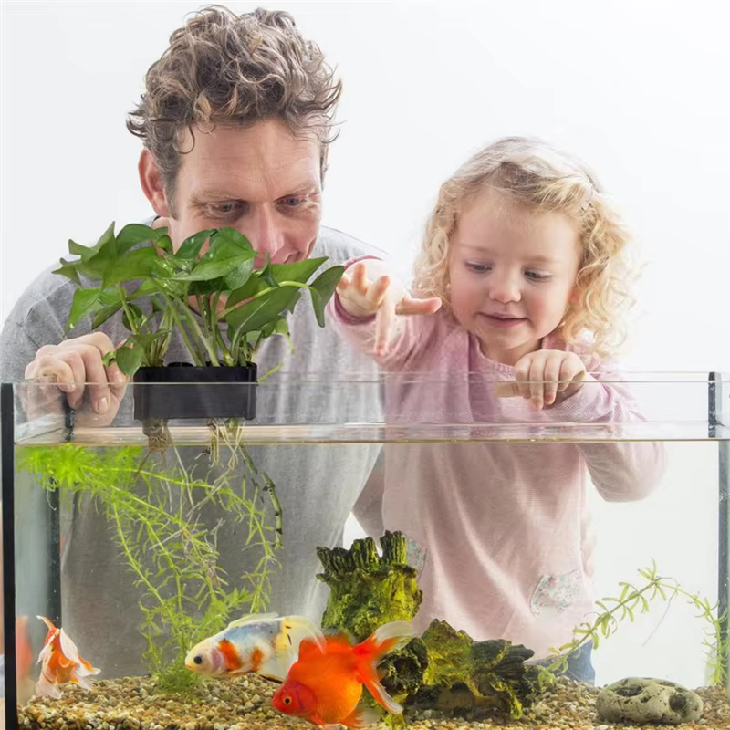 Support de plante d'aquarium suspendu Pot