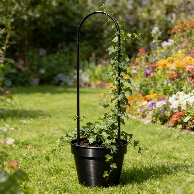 Lot de 2 treillis en métal en forme de U pour plantes grimpantes