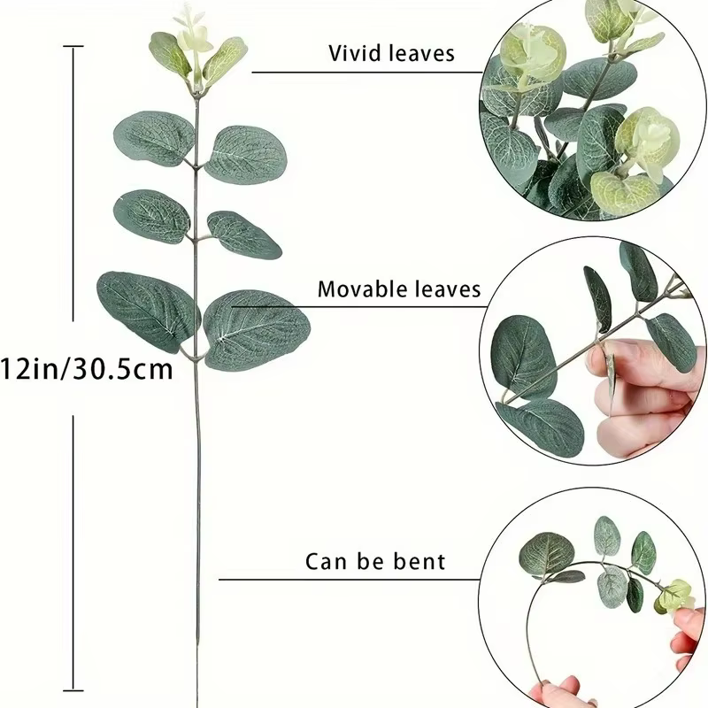 Tiges de feuilles d'eucalyptus