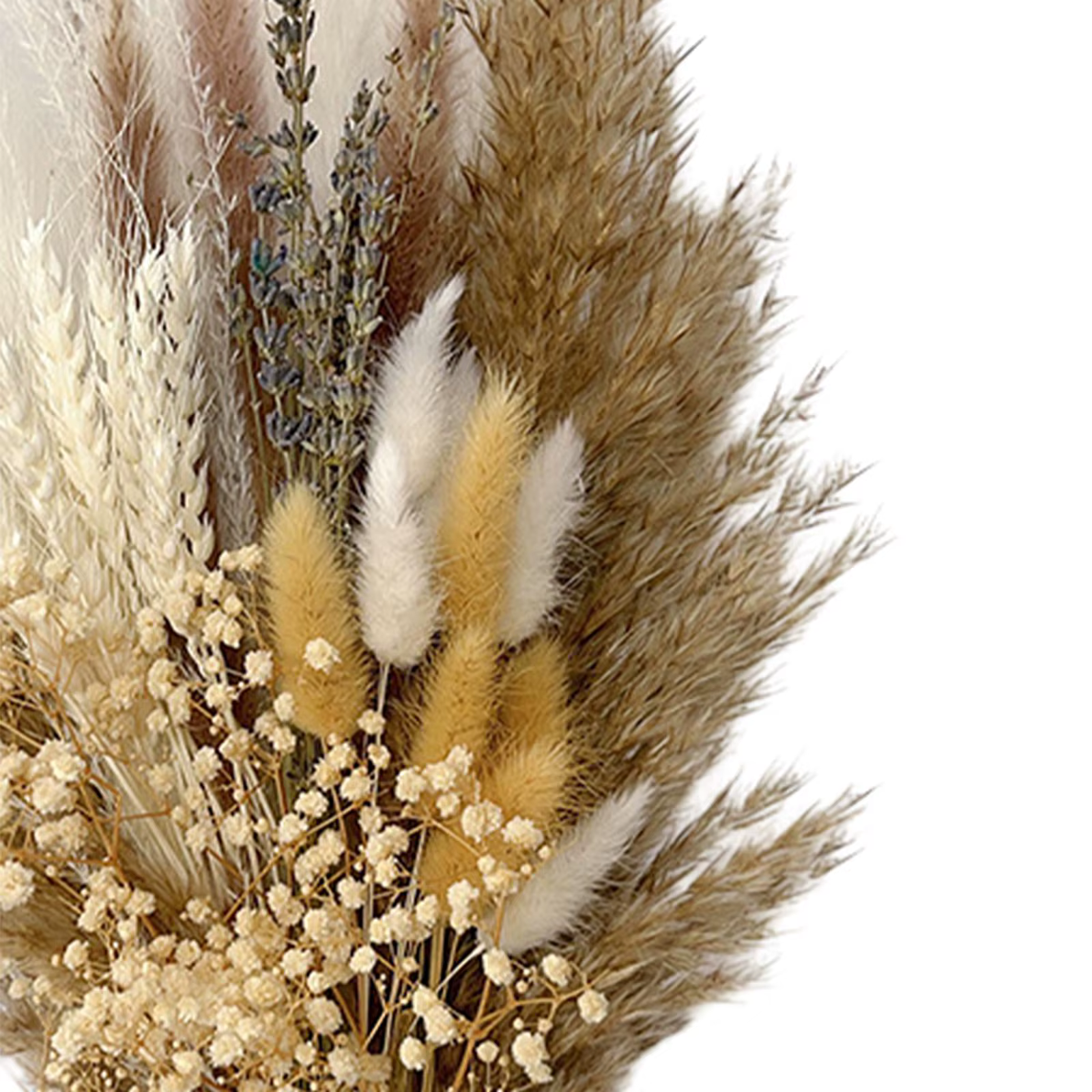 Bouquet de fleurs séchées naturelles DIY