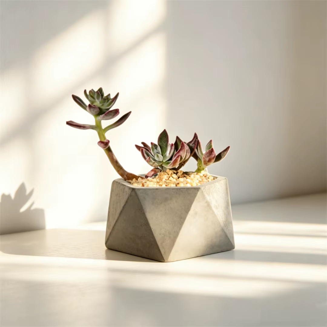 Moule en silicone pour pot de succulentes hexagonal rond en béton, pot de fleurs en ciment, pot à pierre aromatique en plâtre, décoration d'intérieur en plâtre
