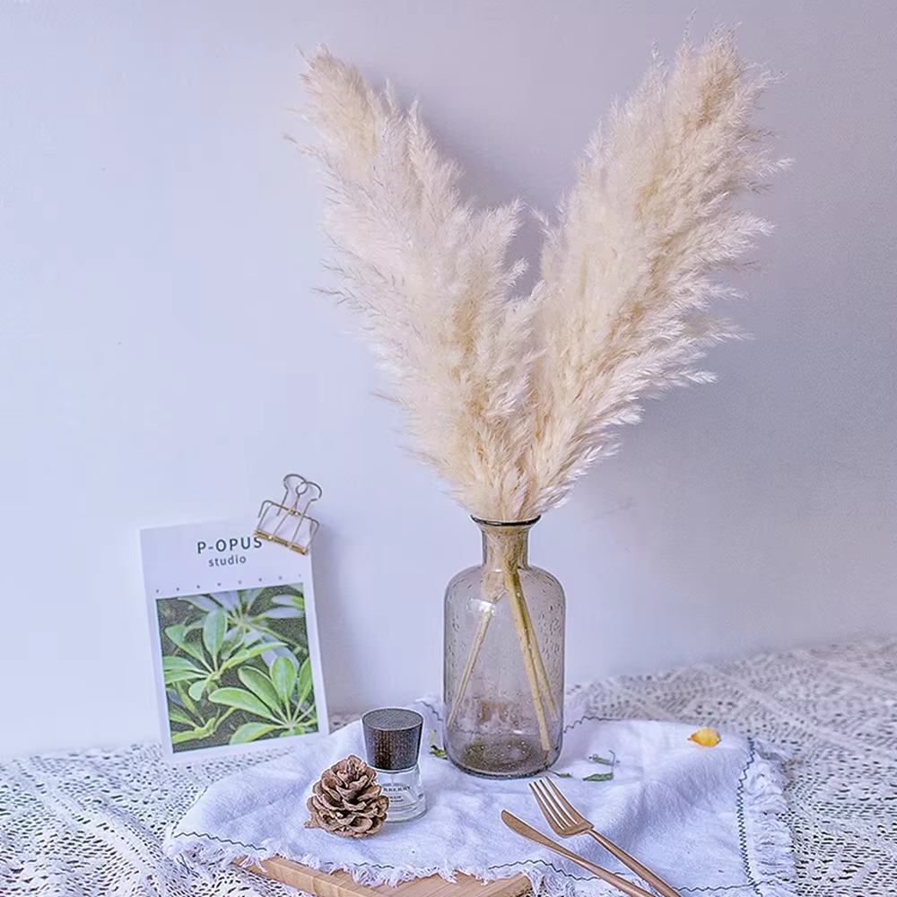 Décoration d'herbe de Pampa Boho 60cm