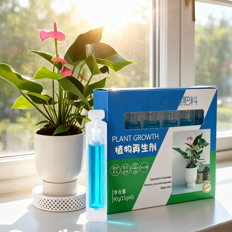 Plante d'intérieur riche en nutriments