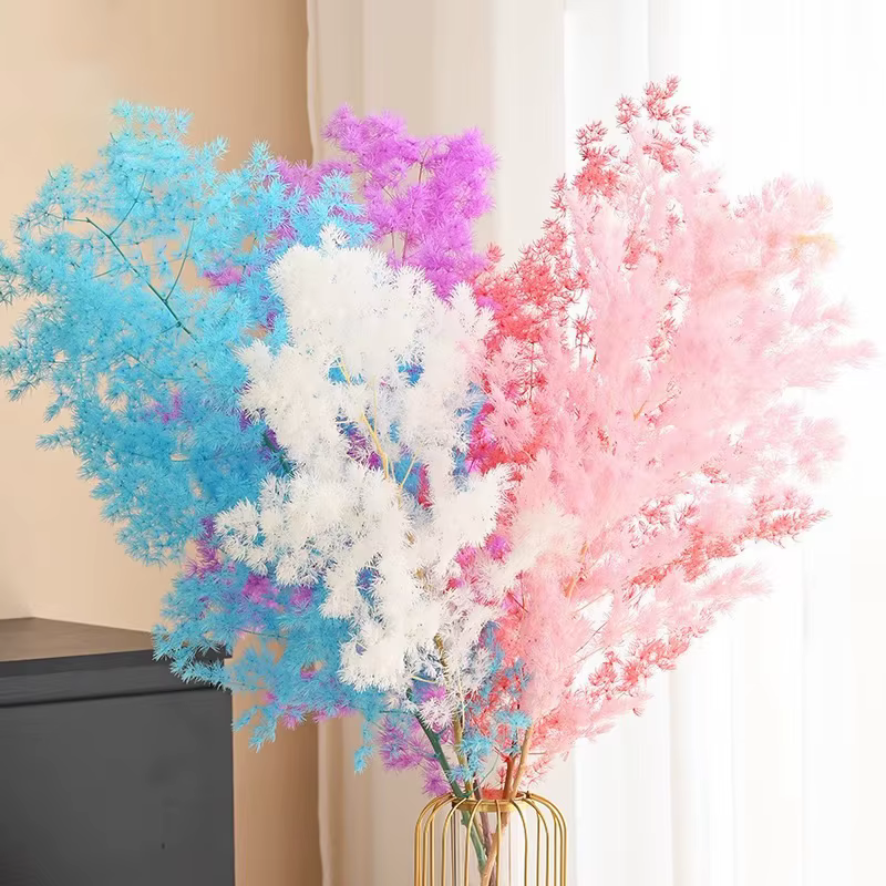 2 pièces de fleurs décoratives naturelles Myriocladus Penglai Song