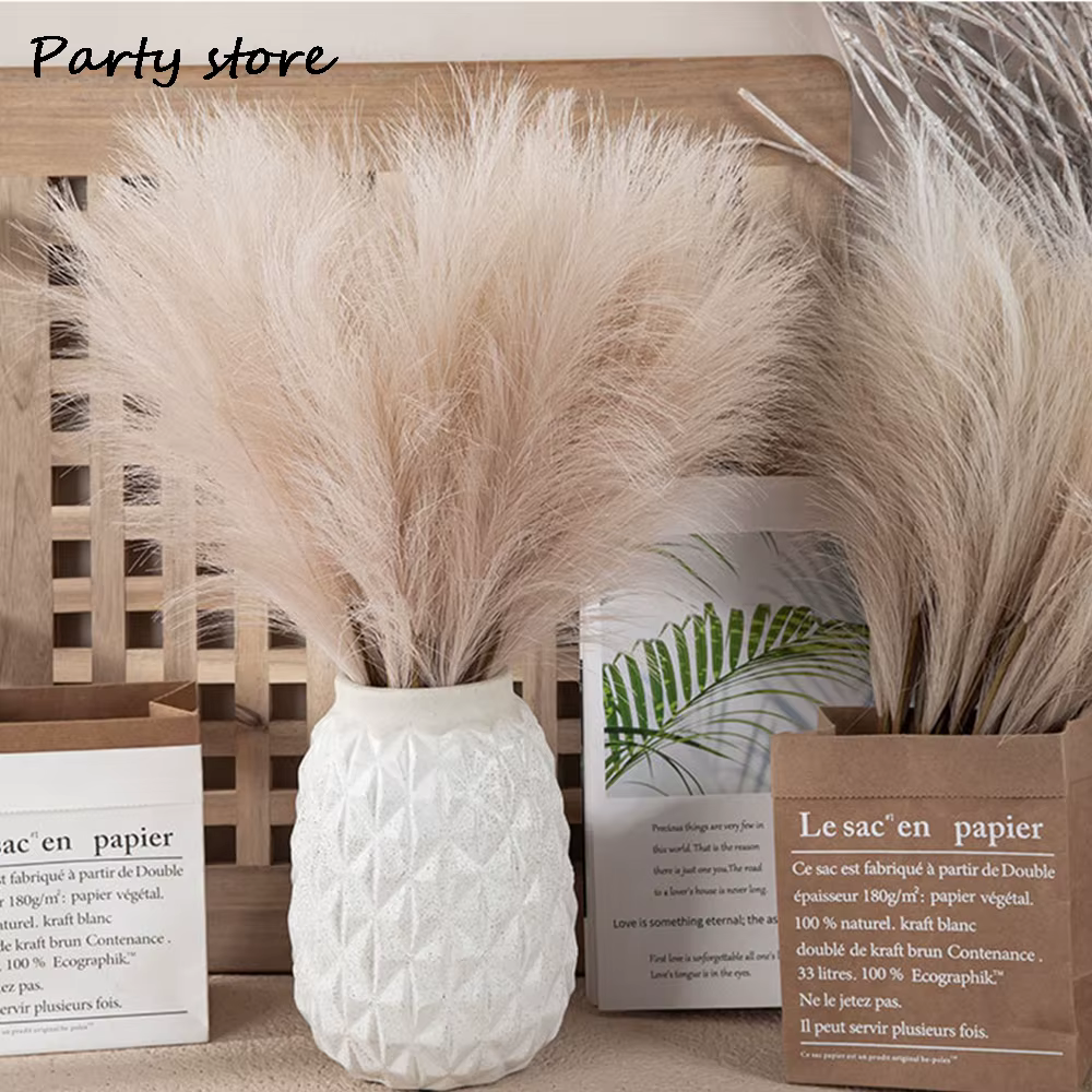 Pampa pelucheux noir, 100 pièces