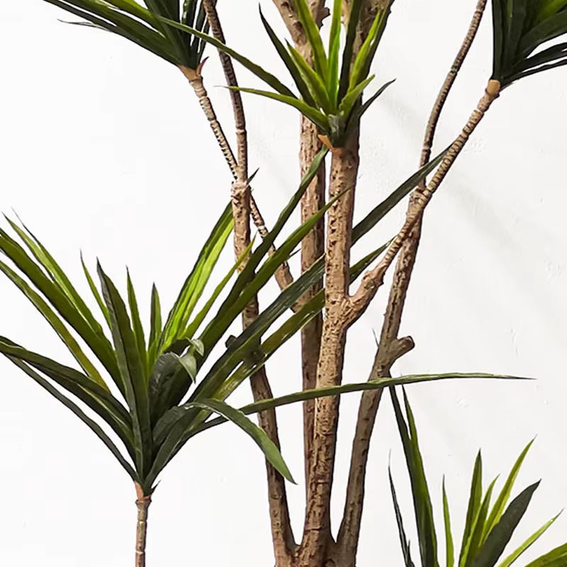 Grandes plantes de Dracaena artificielles tropicales en pot