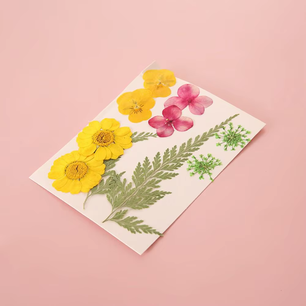 Bricolage matériaux bricolage fleurs séchées signets pressé fleur PET fleurs séchées autocollants à la main Transparent fleur Page signet enfants