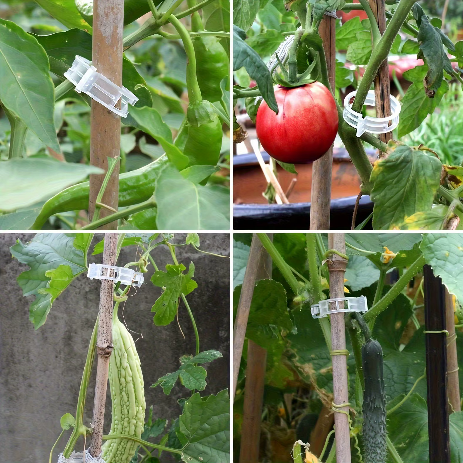Clips de Support pour plantes en plastique