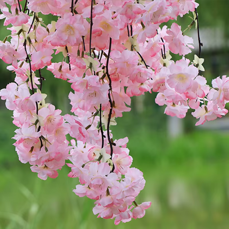 Simulation de vigne cerise artificielle