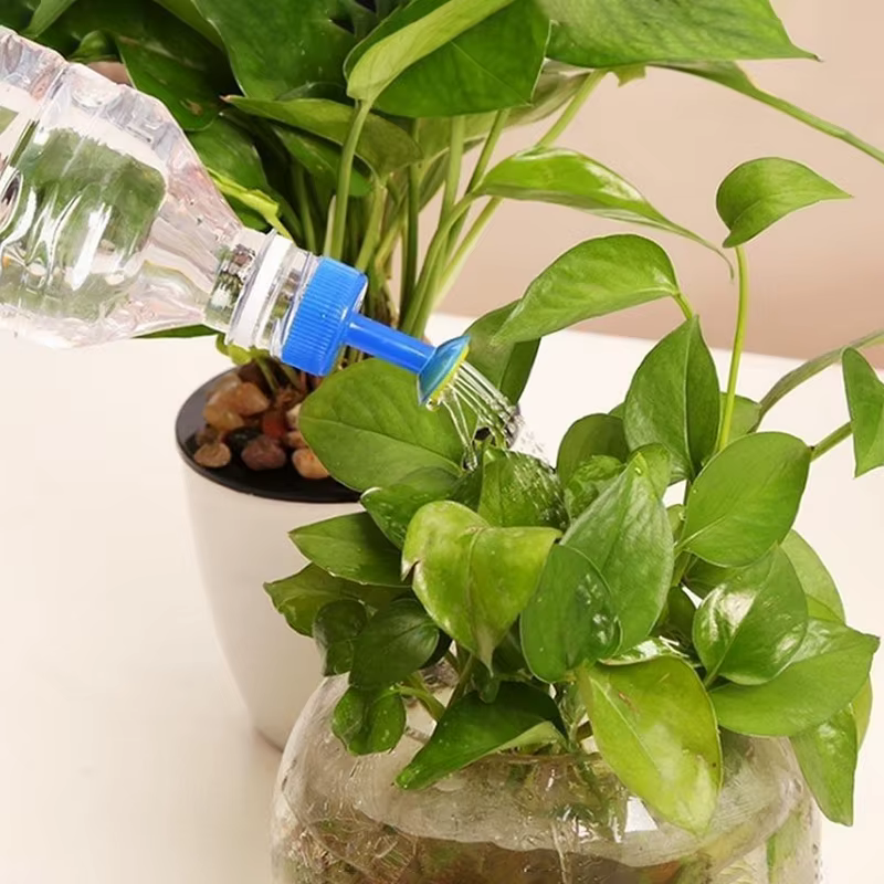 Bouteille d'arrosage de fleurs avec arrosoir