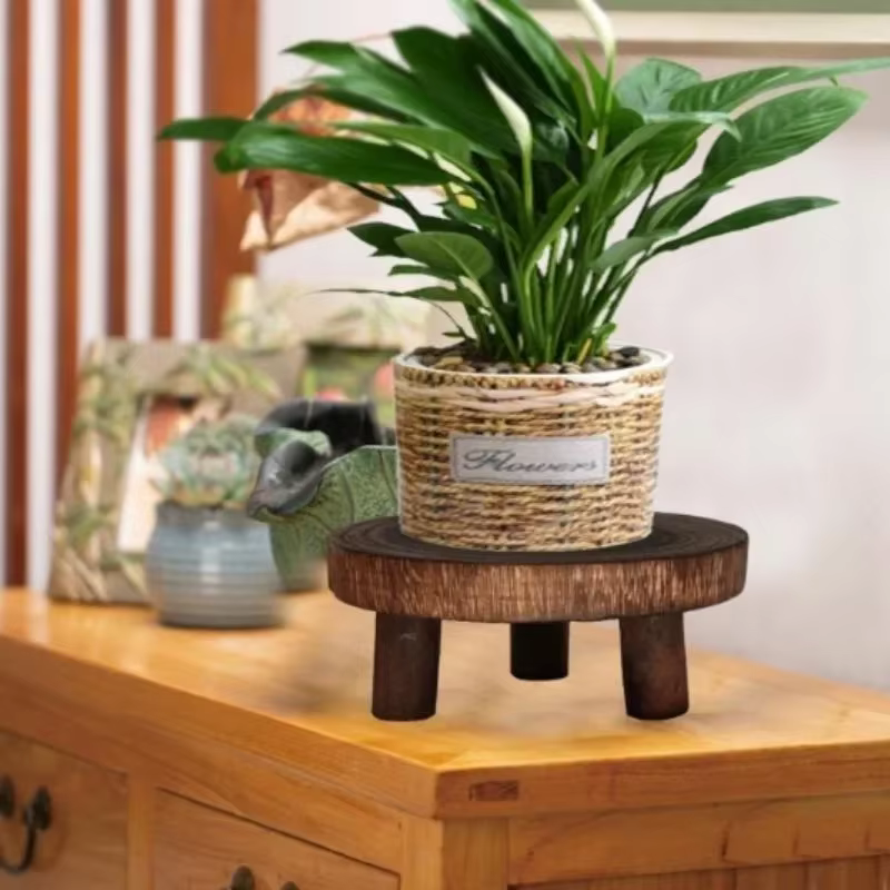 Support de plantes en bois