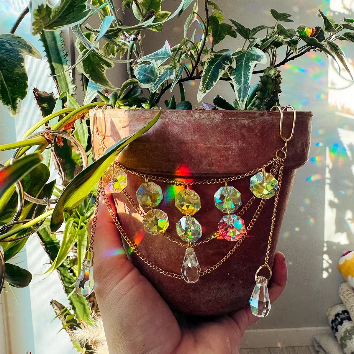 Plante attrape-soleil en cristal