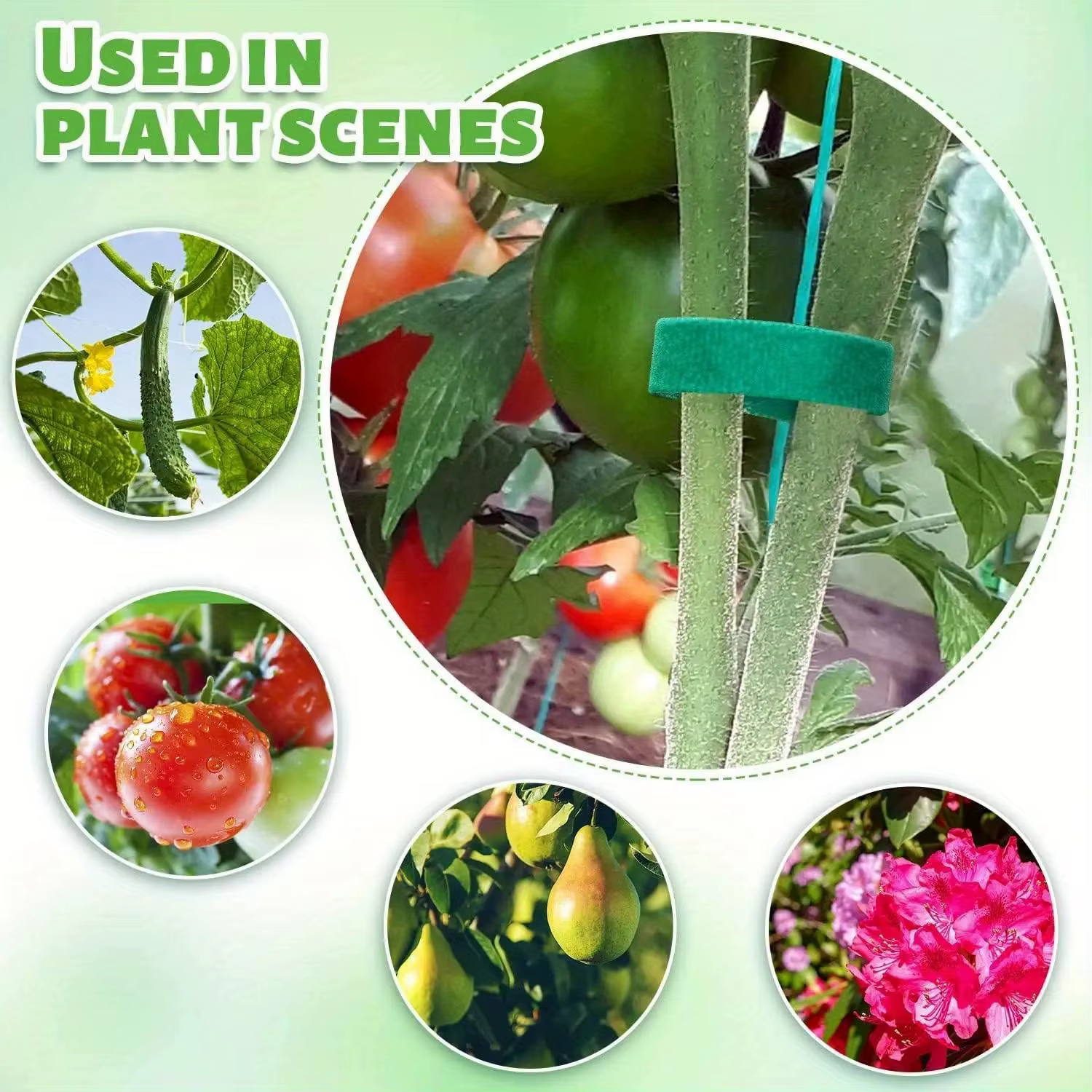 Attaches pour plantes en Nylon réutilisables de 10M