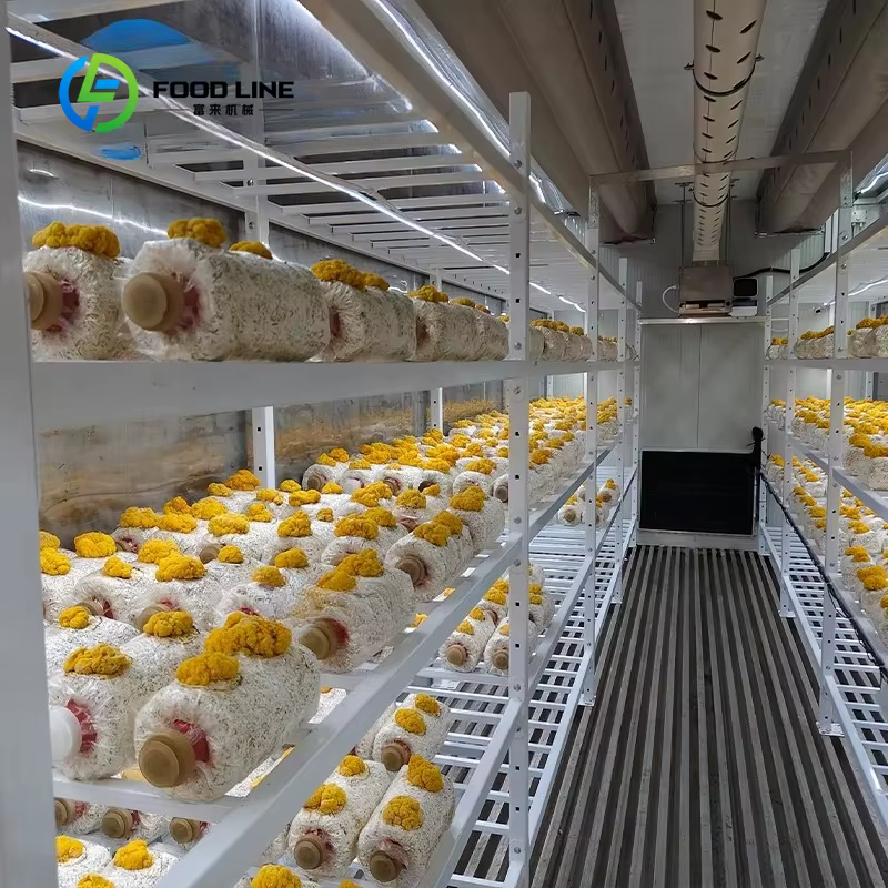 Conteneur de culture de champignons intelligent