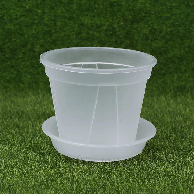Pot de fleur Transparent avec plateau
