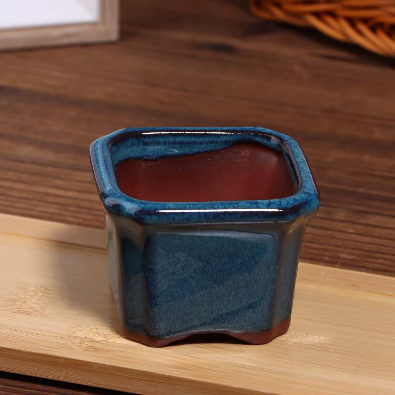 Mini pots en céramique de style chinois pour plantes succulentes