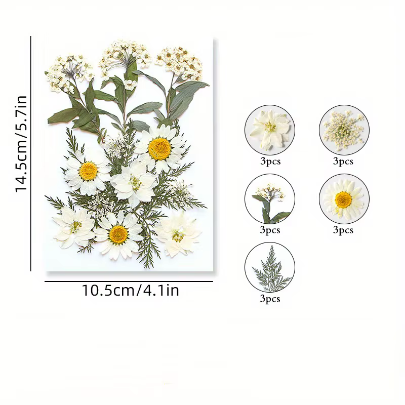 14 styles de fleurs séchées DIY, élégantes et magnifiques, fleurs artificielles de mignonnonneux, décoration créative simple de fleurs pressées