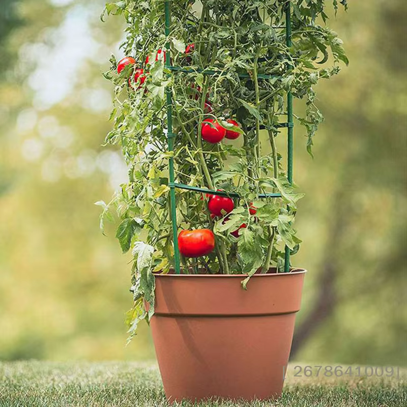 ♥ Kit de support pour plantes de tomates DIY – Piquets et anneaux empilables pour légumes et fleurs grimpantes | 〔YY33〕