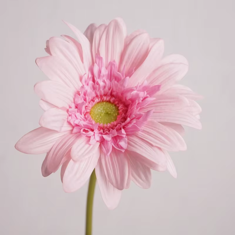 Gerbera-Fleurs Artificielles Hydratantes au Toucher Réel