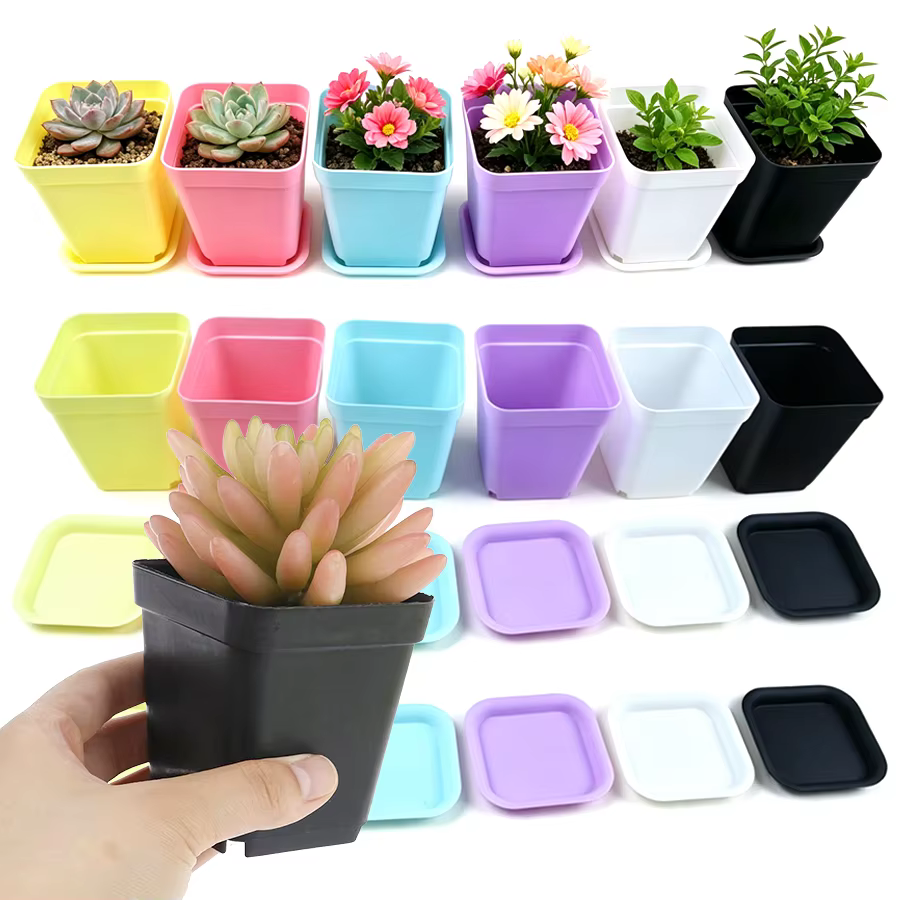 Lot de 6/12/24 pots de fleurs carrés colorés avec plateau