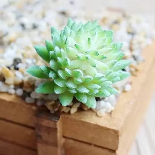 Succulentes artificielles 7 pièces fausse plante succulente réaliste artificielle