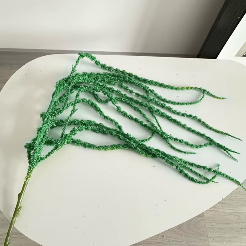 Simulation de plantes vertes