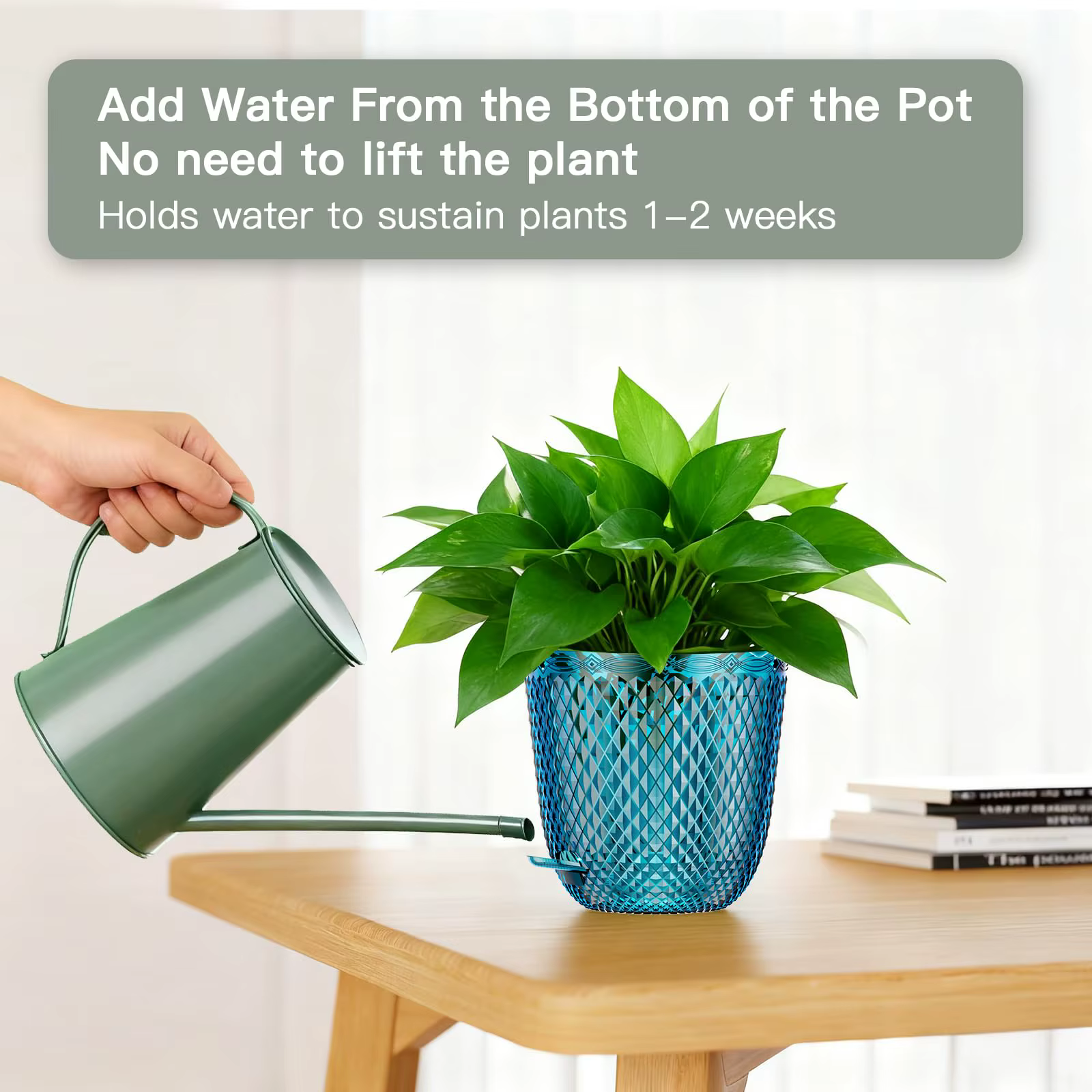Lot de 2 pots auto-arrosants de 5